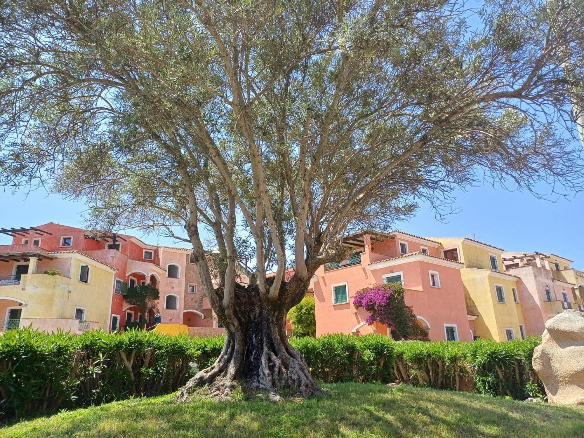 Apartamento Casa Ginevra Santa Teresa Gallura Exterior foto