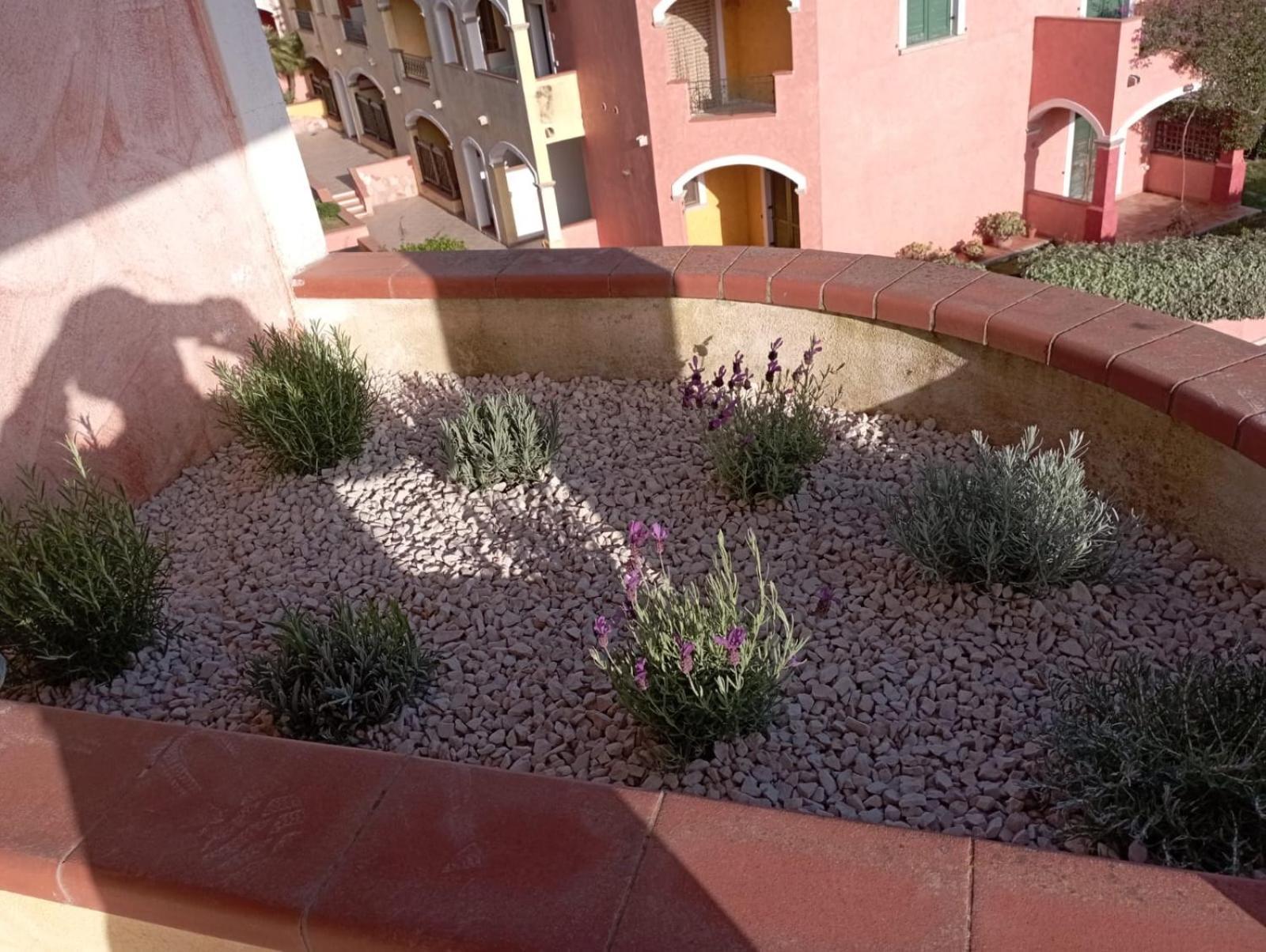 Apartamento Casa Ginevra Santa Teresa Gallura Exterior foto